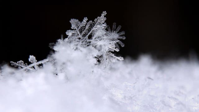 It's been one of the least snowy Decembers in Detroit history -- How it compares to other years