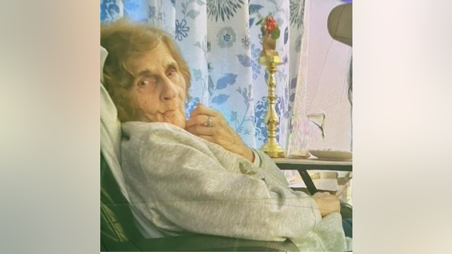 Port Huron police find missing 91-year-old woman safe