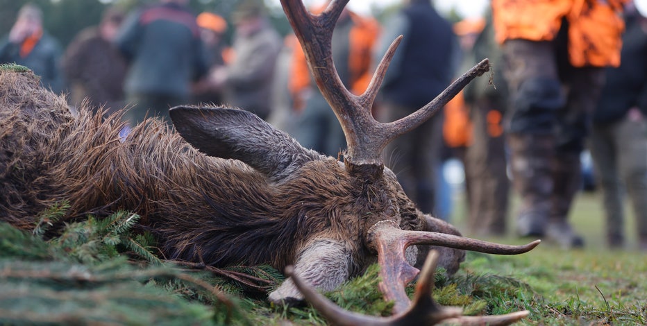 Falling hunter numbers in Michigan among several challenges managing deer