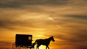 Amish horse and buggy stolen from outside Michigan Walmart