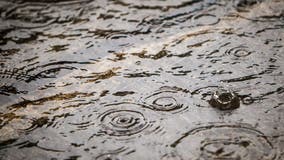 Metro Detroit freeways, roads flooded Friday morning due to heavy rain