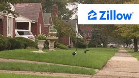Zillow program helps renters with credit-building payment reporting