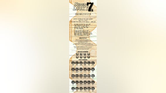 Woman thought something was wrong with app when she saw nearly $1 million Michigan Lottery prize