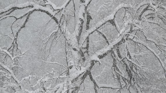 Metro Detroit snow forecast: How much could fall this weekend