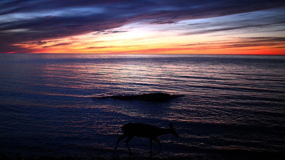 Artists needed to spend time creating at Michigan's Porcupine Mountains Wilderness State Park