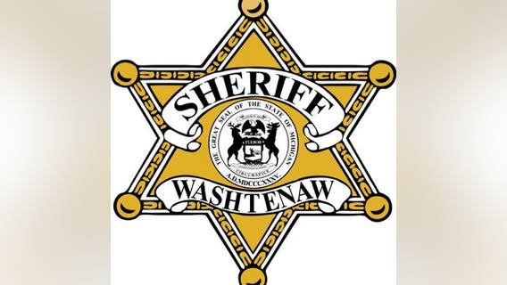 Man pulls gun on Falsetta's Market employee after attempted theft in Ann Arbor