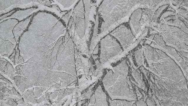 Metro Detroit snow forecast: How much could fall this weekend