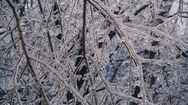 Bitter cold sticks around in Southeast Michigan