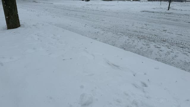 Metro Detroit weather: Quiet start to the week before snowstorms arrive