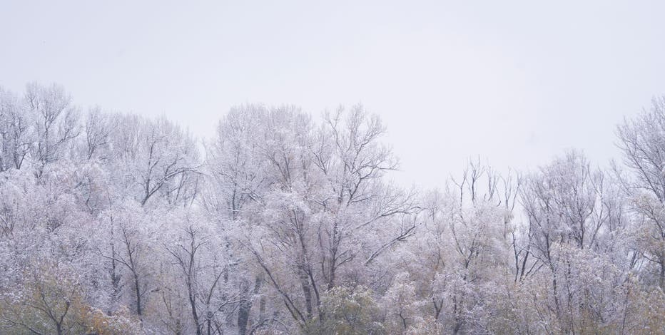 Dangerous cold in Metro Detroit, with Wind Chill Advisory going into effect Tuesday night