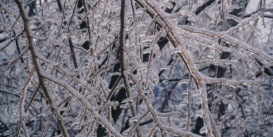 Wind Chill Warnings, Advisories as bitter cold sticks around in Southeast Michigan