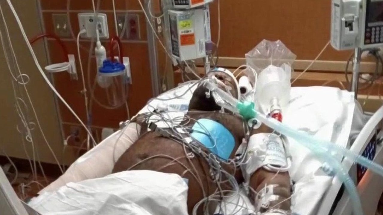 Detroit dog owners charged after fatal mauling - Vimarsana News