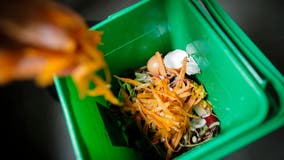 Royal Oak adds free food composting as part of pilot program