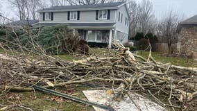 Nearly 50 homes destroyed by tornadoes in Southwest Michigan