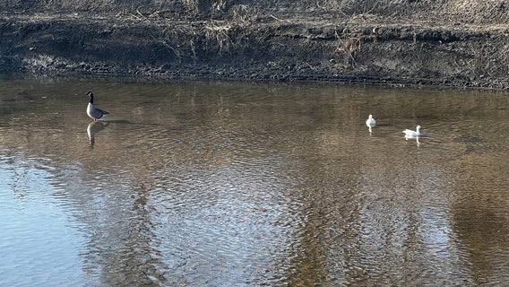 Warren chemical spill test results: Safe for public, potential impact on wildlife