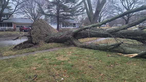 EF-2 tornado confirmed in Grand Blanc Wednesday morning by National Weather Service