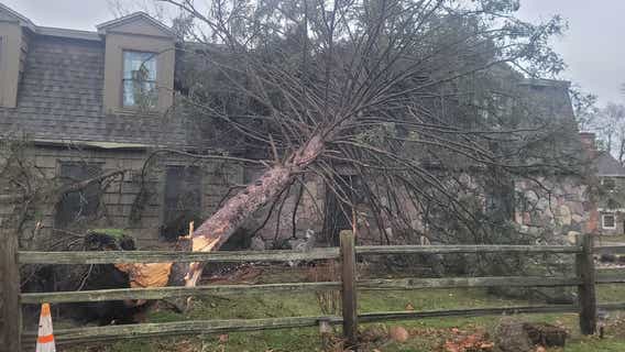 Grand Blanc EF-2 tornado: How to report storm damage to Genesee County Emergency Management