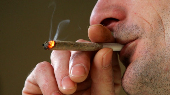 Michigan's booming marijuana market sending $87 million to cities