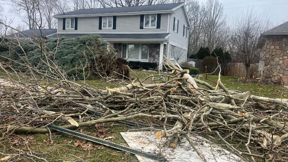 Nearly 50 homes destroyed by tornadoes in Southwest Michigan