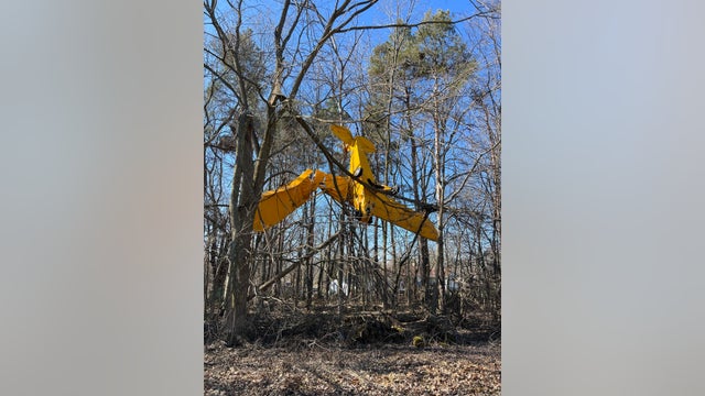 Plane crashes into trees after catching wind near private Michigan airfield