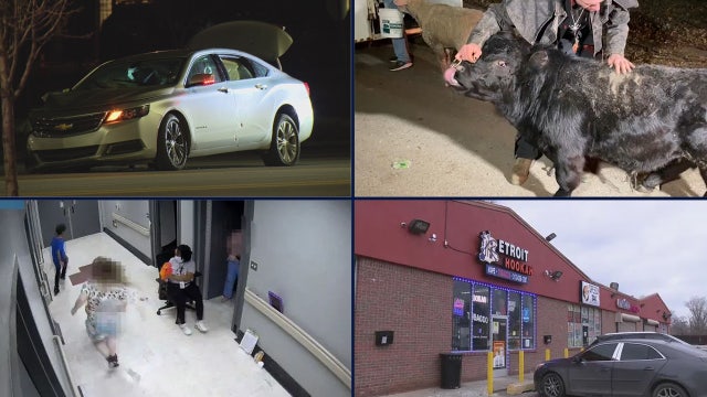 Violent night in Detroit • Stolen bull, sheep found • Lawsuit filed after child beaten at psychiatric facility