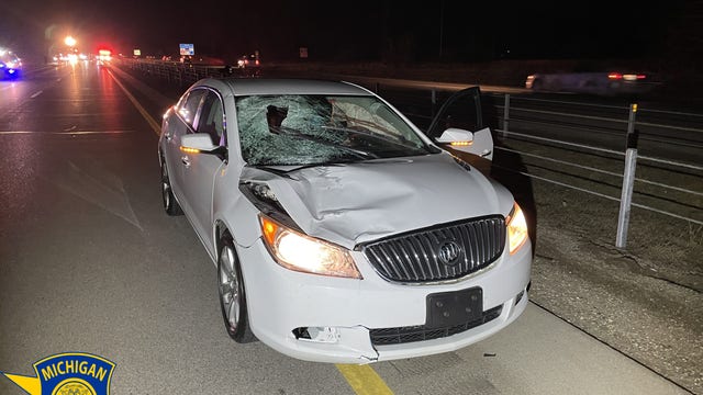 72-year-old Michigan woman hit, killed after breaking down on freeway