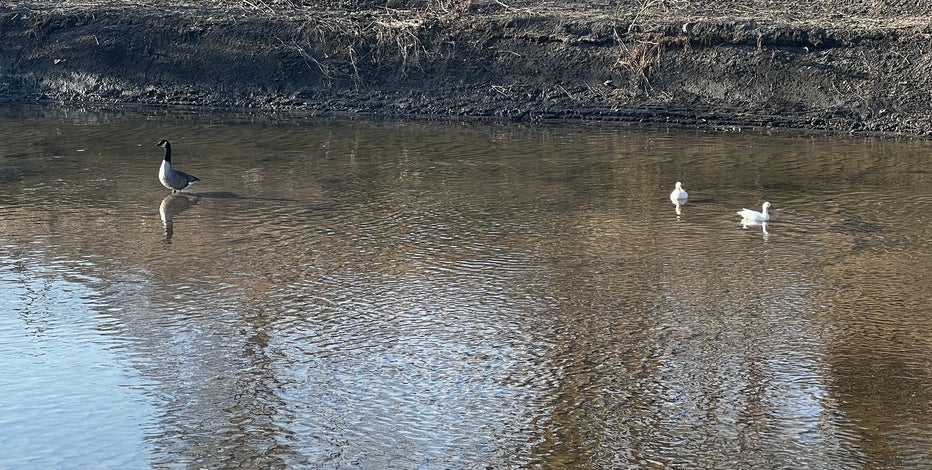 Warren chemical spill test results: Safe for public, potential impact on wildlife