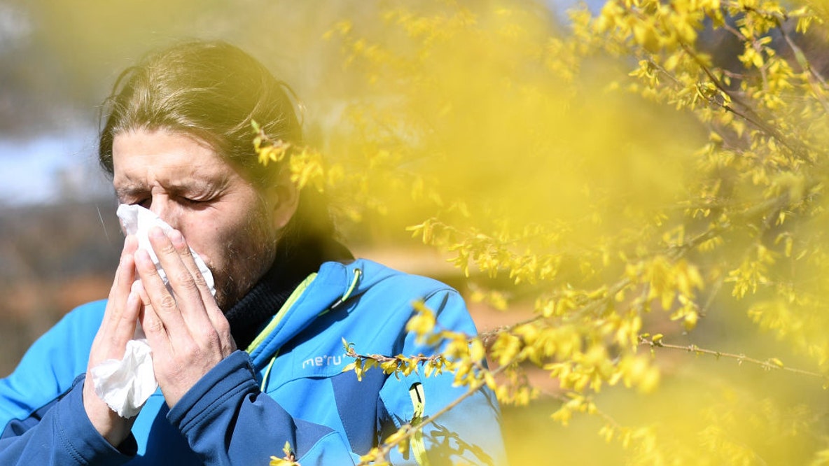 Pollen descending on Michigan as allergy season builds