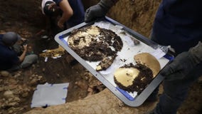 Ancient tomb filled with gold, sacrificial victims uncovered in Panama