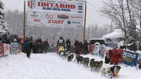 2 dogs die during Alaska Iditarod race, prompting call from PETA to end the competition