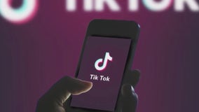 Does the Michigan governor support a TikTok ban?