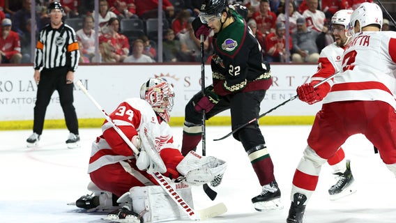 Connor Ingram makes 28 saves, Coyotes beat Red Wings 4-0 to end home losing streak