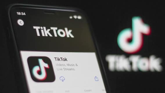 Skubick: New poll shows TikTok debate shows political divide