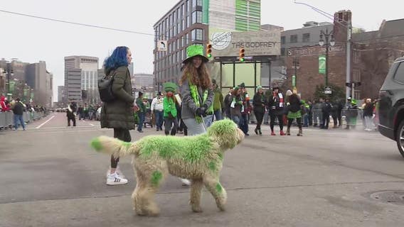 Detroit St. Patrick's Day Parade guide: Time, route, activities, and more