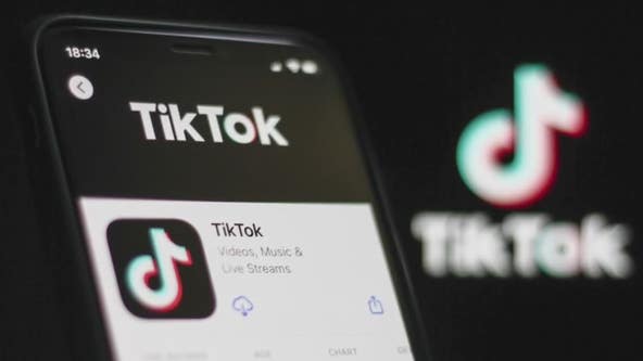 Skubick: New poll shows TikTok debate shows political divide