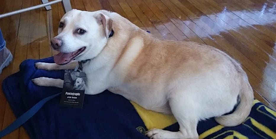 Ann Arbor paranormal convention raises money for shelter animals