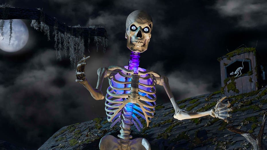 skelly.jpg