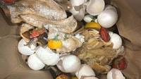 Royal Oak expands food waste composting program with more drop-off sites