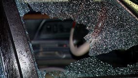 Windows smashed out on 20+ vehicles in Detroit neighborhood