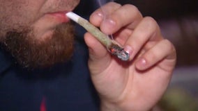 Eastpointe city council considers legalizing recreational marijuana