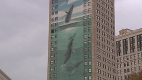 Whale mural on Detroit's Broderick Tower blocked again - this time by auto insurance ad