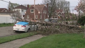 Storm damages property, causes uprooted trees and downed powerlines in metro Detroit