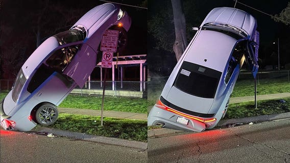 Drunk driver goes vertical in Ann Arbor, police say