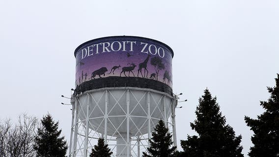Detroit Zoo warns of discount ticket scam