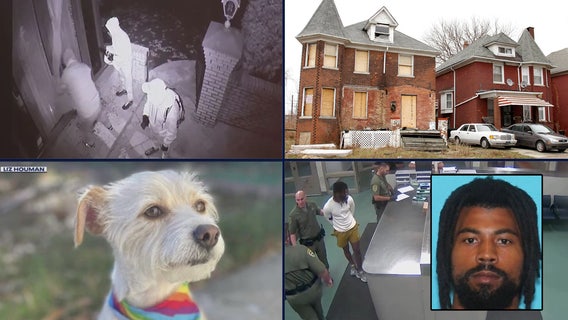 High-end burglaries continue • Wayne Co resumes delinquent tax foreclosures • California dog found in Michigan