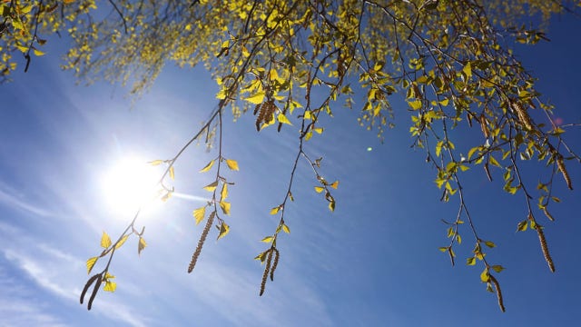 Here are the 20 worst US cities for seasonal allergies – and some of the best