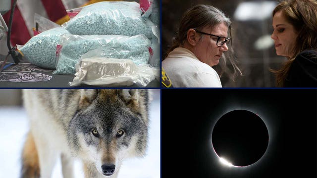Fentanyl bust in metro Detroit • Crumbley sentencing preview • Gray wolf shot in Michigan