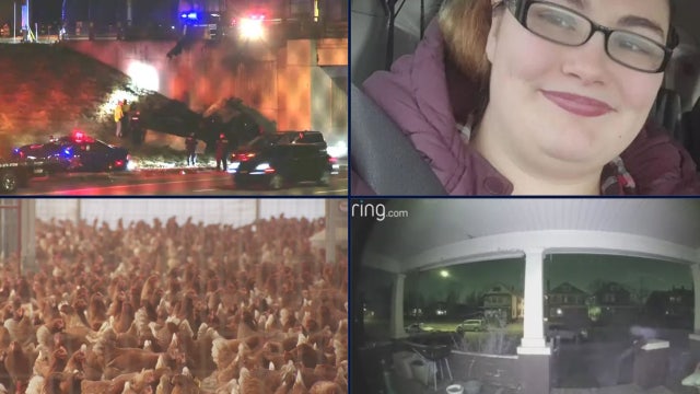 Family tries to ID fiery crash victim • Man convicted in Kayla Sedoskey's murder • Bird flu in Michigan