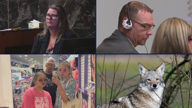 Jennifer Crumbley wants to live with lawyer • Shooting victim says ex was behind it • Coyote hunting drama