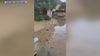 Flooding leaves basement, backyard damaged in Macomb Township